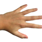 1200px-Hand_-_Middle_finger