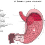 2obr-20