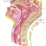 3obr-2