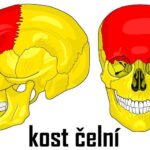 4f213ea59e8873c6762d237ef2d5e547
