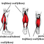 Lýtka