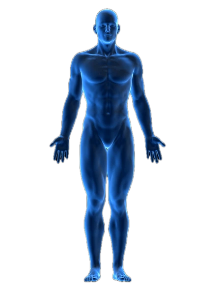 Pozadí obrázku „3d-rendered-medical-illustration-male-600nw-2217992933“ bylo odstraněno