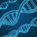 dna-deoxyribonukleova-kyselina-zaklad-zivota-2362830
