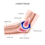 loketni-kloub