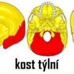 oXhok.8sVbhVkNSTCmEJ.w