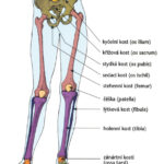 obr-27