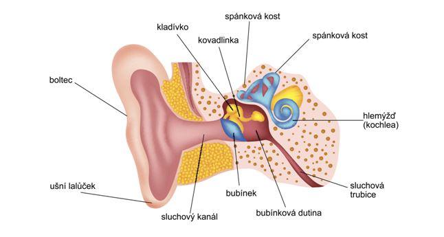Kovadlinka