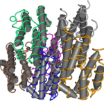 1200px-1RH2_Recombinant_Human_Interferon-Alpha_2b-01