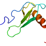 800px-Protein_CCL11_PDB_1eot