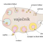 Kapitola-08-01-01