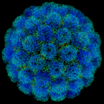 Symian_virus