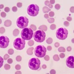 depositphotos_97141264-stock-photo-neutrophils-blood-cells