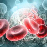 Red,Blood,Cells,In,Vein.,Blood,Stream.science,Background.,3d,Illustration