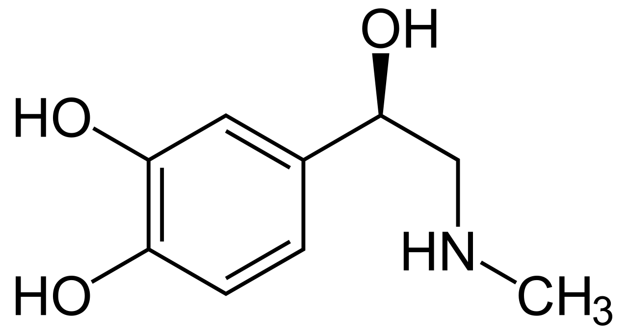 Epinefrin (adrenalin)