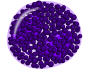 Bazofil