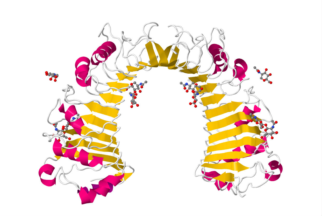 Protein CD14