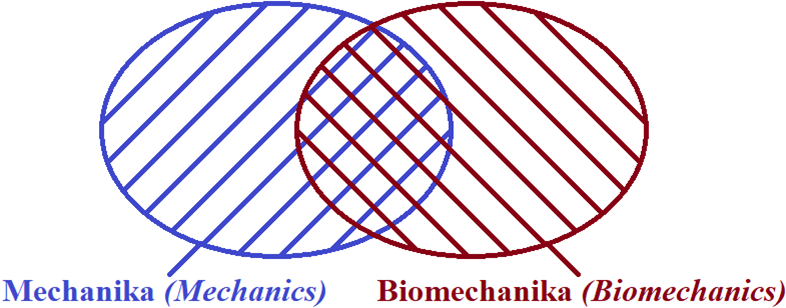 mechanika, biomechanika Vennův diagram