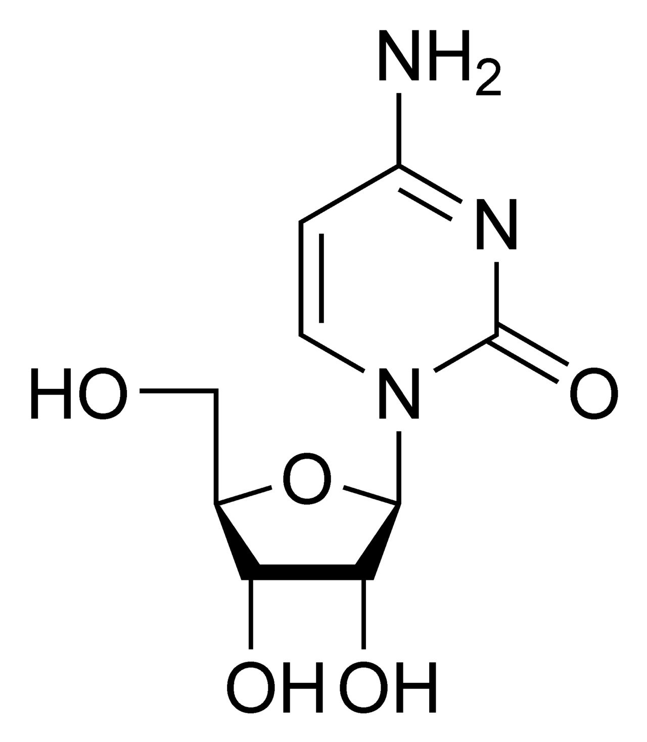Struktura cytidinu