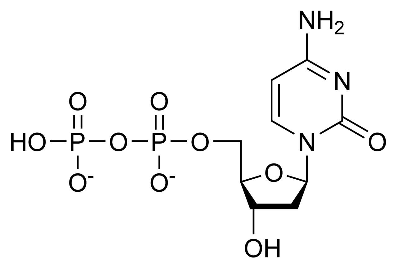 Struktura deoxycytidindifosfátu