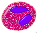 Eosinofil
