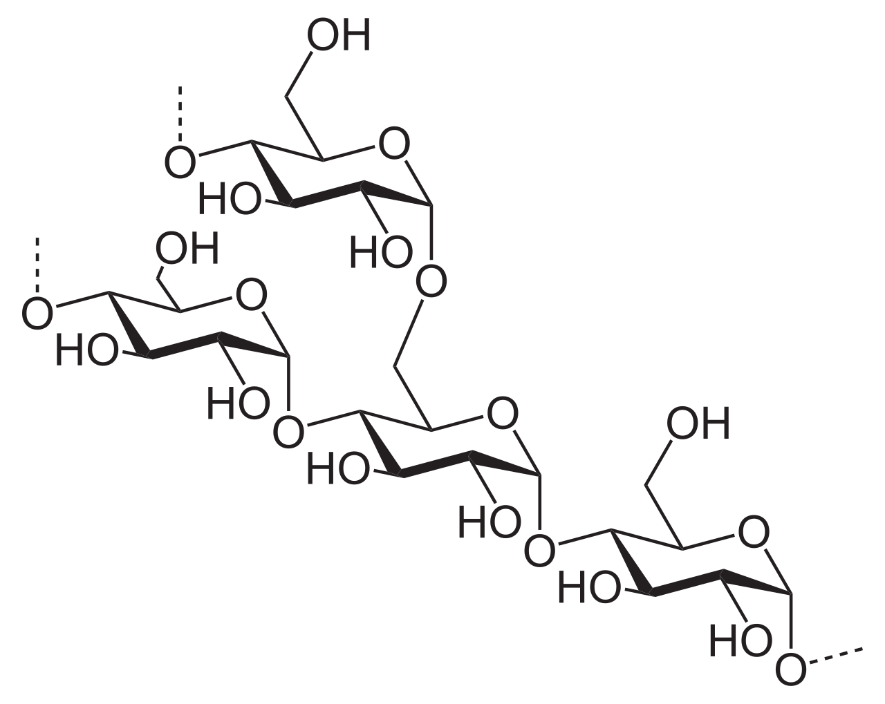 Amylopektin, složka škrobu