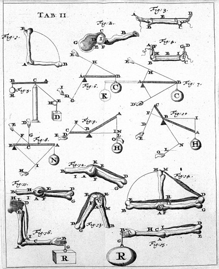 Ukázka z knihy "De motu animalium" (Giovanni Alfonso Borelli)