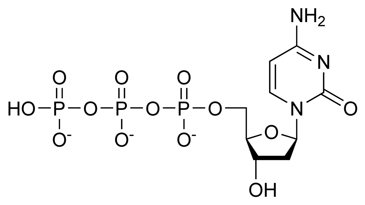 Struktura deoxycytidintrifosfátu