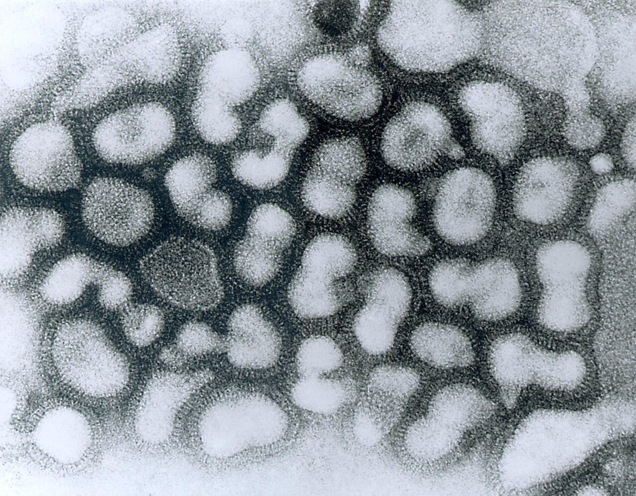 Chřipkový A virus