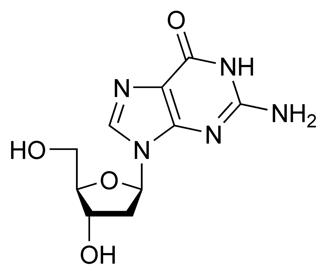 Struktura deoxyguanosinu