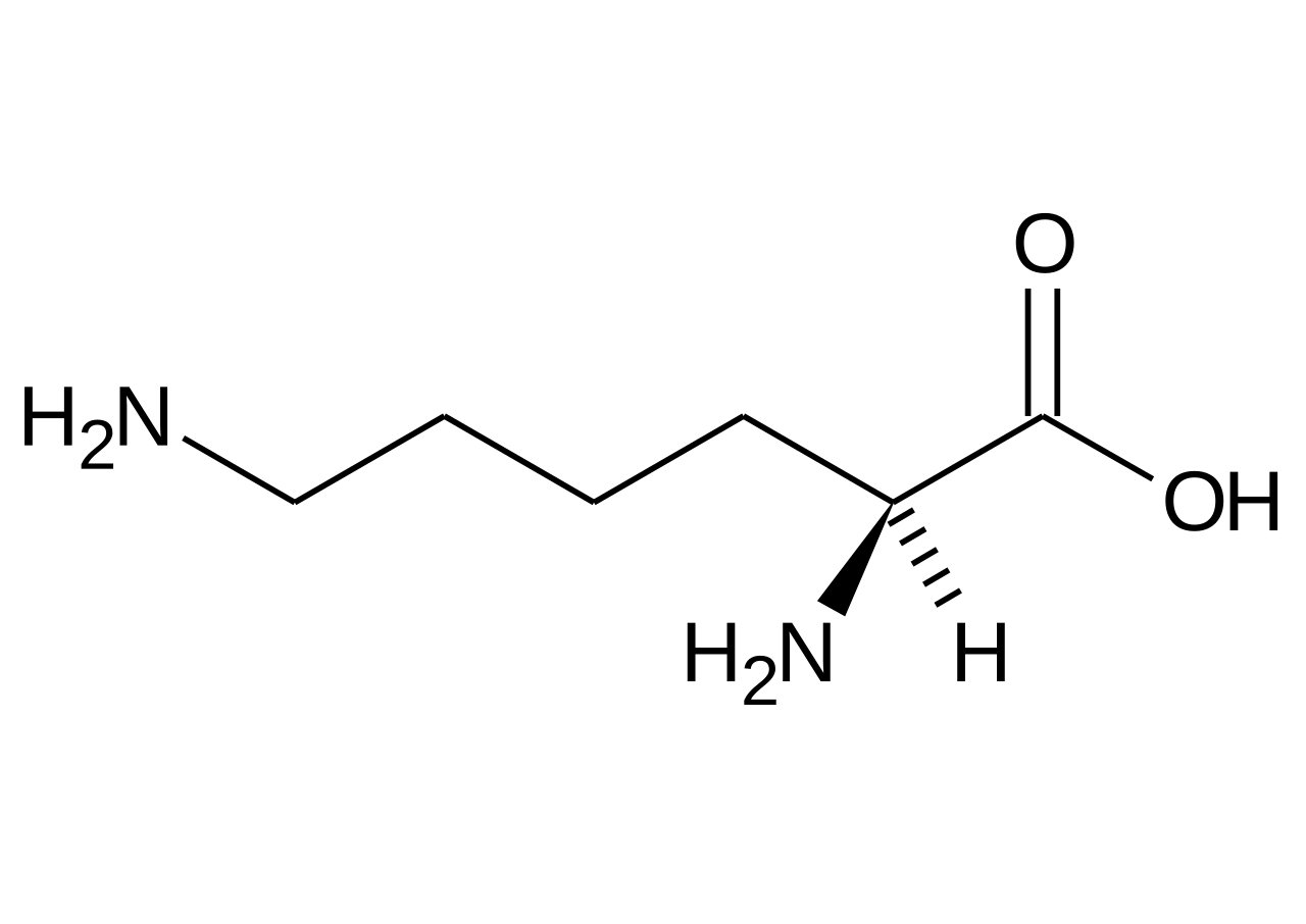 Lysin (Lys, K)